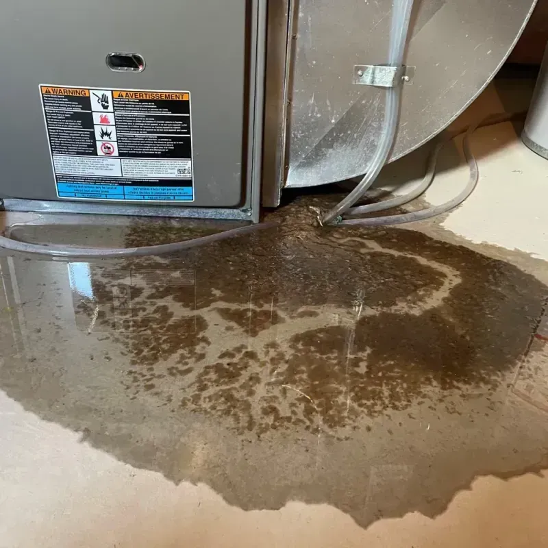 Appliance Leak Cleanup in Muscogee County, GA